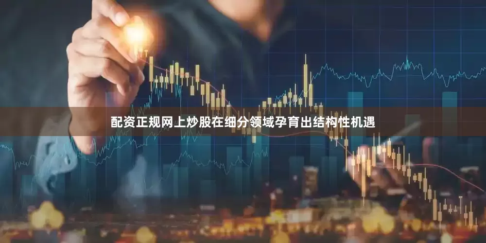 配资正规网上炒股在细分领域孕育出结构性机遇