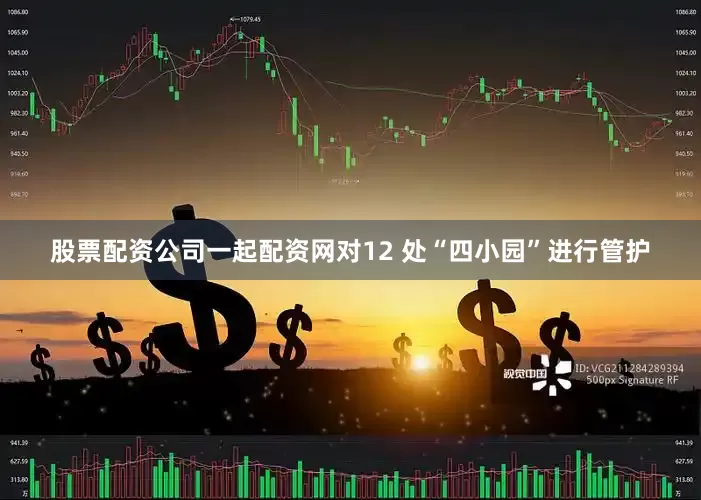 股票配资公司一起配资网对12 处“四小园”进行管护