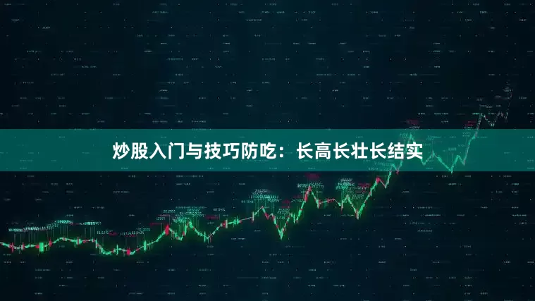 炒股入门与技巧防吃：长高长壮长结实