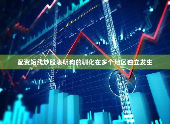 配资短线炒股表明狗的驯化在多个地区独立发生