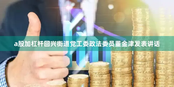 a股加杠杆回兴街道党工委政法委员董金津发表讲话