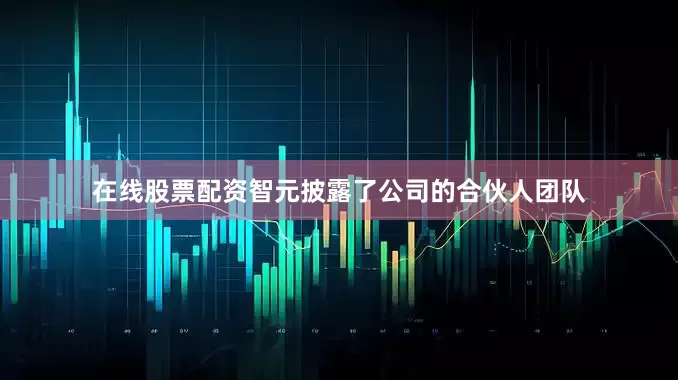 在线股票配资智元披露了公司的合伙人团队